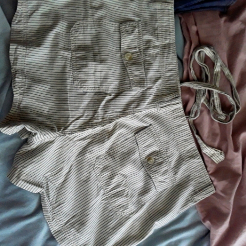American eagle shorts~Blue & White Pinstriped~Size 18.